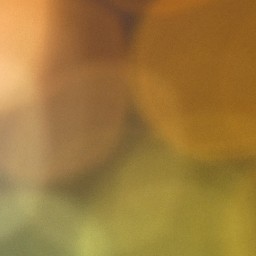 Bokeh-334